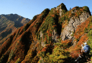 荒沢岳の画像
