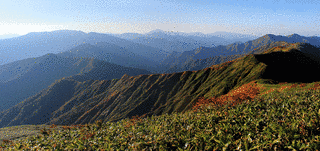 大水上山の画像