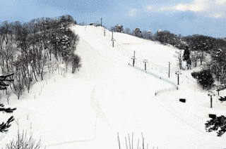 金谷山の画像
