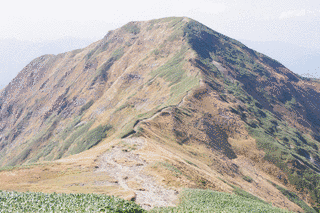 茂倉岳の画像