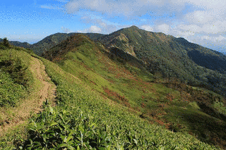 白砂山の画像
