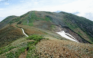 仙ノ倉山の画像