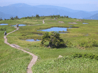 苗場山の画像