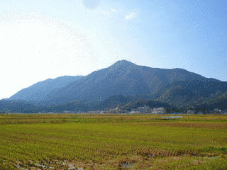 新潟総合テレビの画像