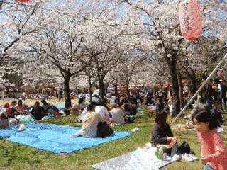悠久山の画像