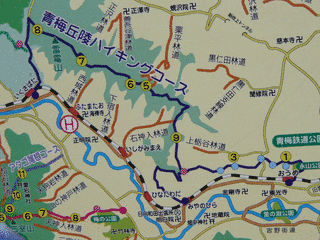 青梅丘陵ハイキングコースの画像