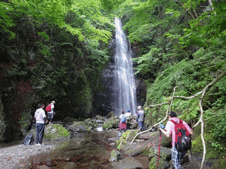 川苔山の画像