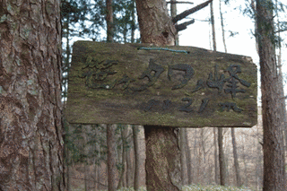 笹ヶタワノ峰の画像