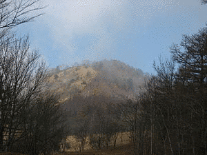 鷹ノ巣山の画像