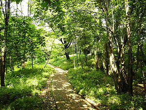 箱根山の画像
