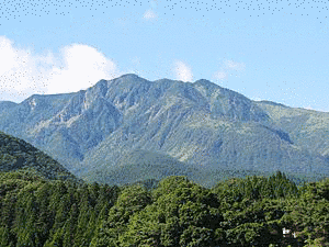赤薙山の画像
