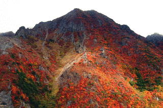 朝日岳の画像