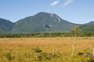太郎山の画像