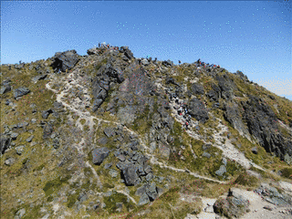 日光白根山の画像