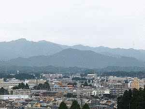 雲雀鳥屋の画像
