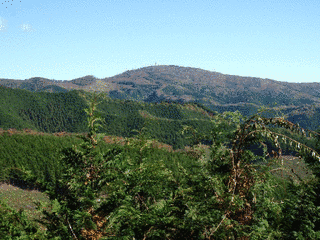 八溝山の画像