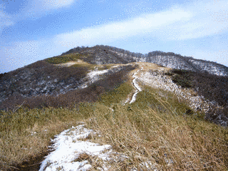 三十三間山の画像