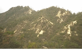 田上山の画像