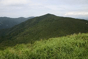 三国山の画像