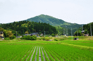 高爪山の画像