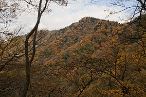 革籠石山の画像