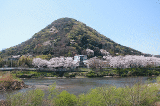 高麗山の画像