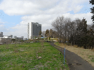 高尾山の画像