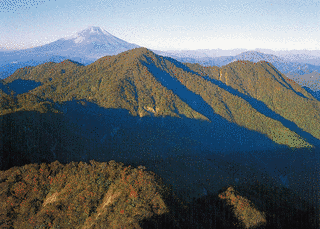 檜洞丸の画像