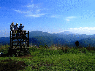 矢倉岳の画像