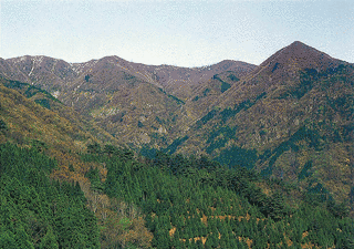 浄法寺山の画像