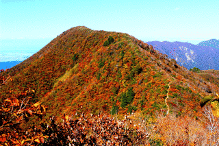 丈競山の画像