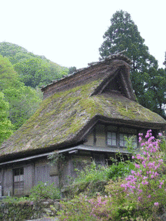 鉢伏山の画像
