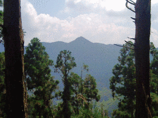 熊ヶ畑山の画像