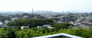 TVQ九州放送の画像
