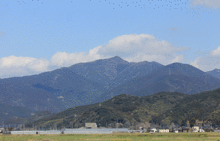 古処山の画像