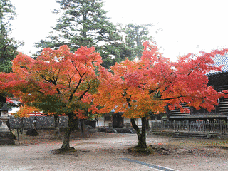 手向山の画像