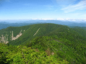 田代山の画像