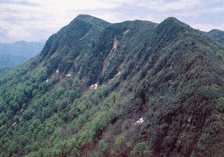 七ヶ岳の画像