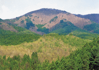 花塚山の画像