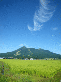 1880年代の画像
