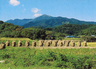 額取山の画像