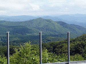 青様山の画像