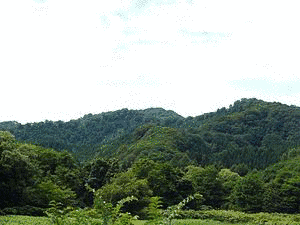 大柴峠の画像