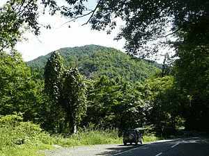 大規長根の画像