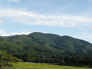 大森の画像