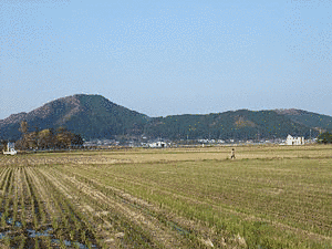 高岳山の画像