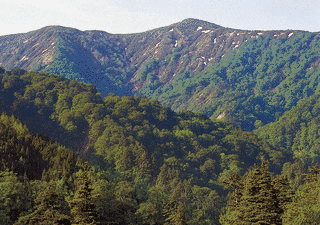 高松岳の画像