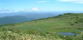田代岳の画像