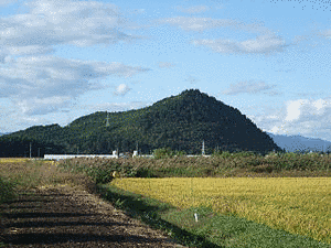 達子森の画像