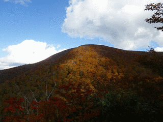虎毛山の画像